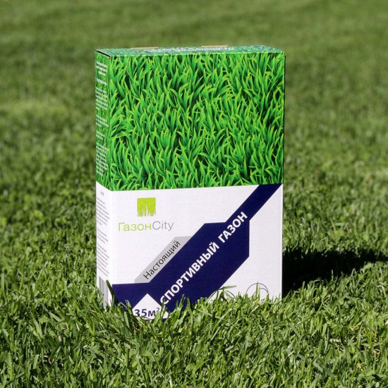 Семена газонной травы Настоящий спортивный Газон Сити 1 кг