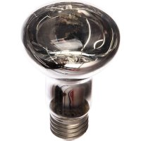 Лампа накаливания Camelion 40/R63/E27 MIC