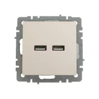 Розетка usb IEK Brite