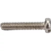 Винт ЕВРОПАРТНЕР 4x20 DIN84 (8 шт.)