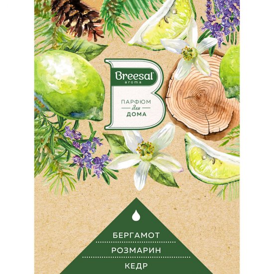 Аромадиффузор с палочками Breesal Aromatherapy Жизненная энергия 70 мл