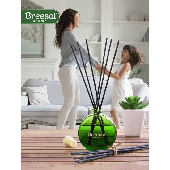Аромадиффузор с палочками Breesal Aromatherapy Жизненная энергия 70 мл