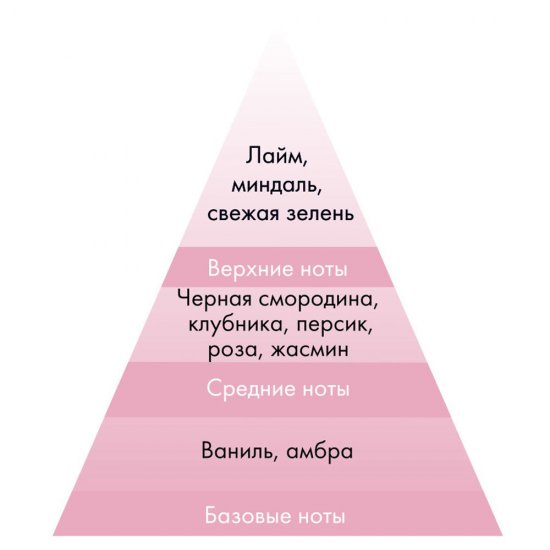 Аромадиффузор с палочками Stenova Home №52 100 мл