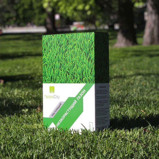 Семена газонной травы Низкорастущий Газон Сити 1 кг