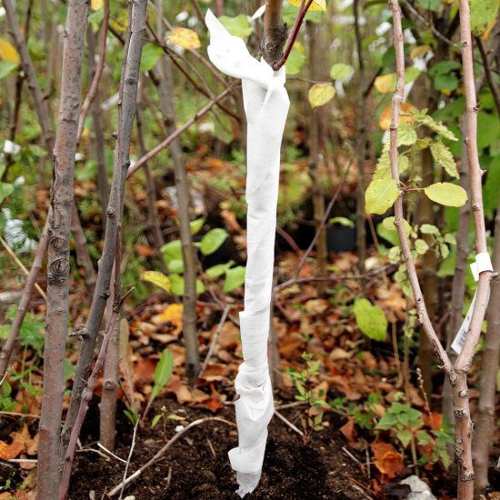 Бинт садовый Агротекс Сад 0.12х10 м