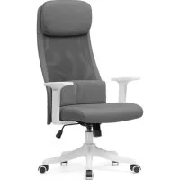 Компьютерное кресло Woodville Salta gray / white