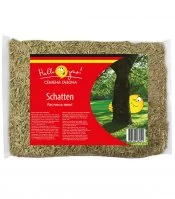 Семена газонной травы Schatten Gras Газон Сити 0,3 кг