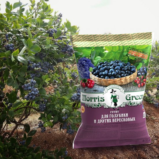 Почвогрунт Morris Green для голубики и других вересковых 65 л