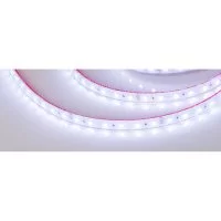 Герметичная светодиодная лента Arlight RTW-PS-B60-12mm