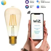 Филаментная лампа Gauss Smart Home DIM+CCT