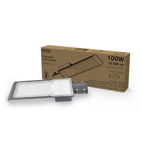 Светильник уличный светодиодный Gauss Avenue 5000К 100 Вт консольный IP65 (629534300)