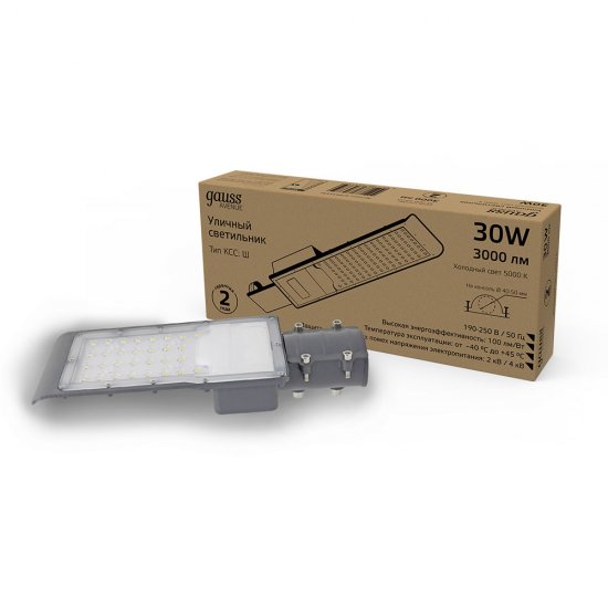 Светильник уличный светодиодный Gauss Avenue 5000К 30 Вт консольный IP65 (629534330)