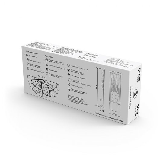 Светильник уличный светодиодный Gauss Avenue 5000К 30 Вт консольный IP65 (629534330)