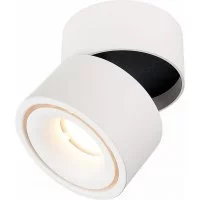 Потолочный светильник ST luce ST652.532.12