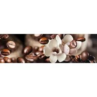 Панель для кухонного фартука ФАРТУКОФФ ФФ-433