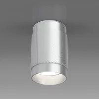 Накладной светильник Elektrostandard DLN109
