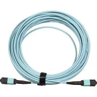 Кабельная сборка TopLan TOP-12M-12M/OM3B-2.0