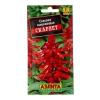 Сальвия сверкающая Скарлет Аэлита 0,1 г
