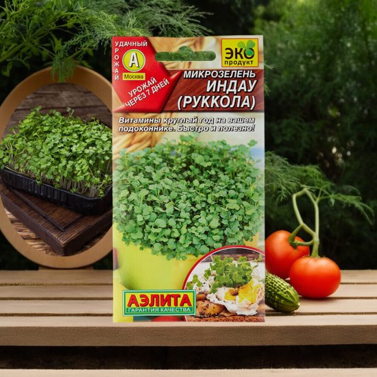 Семена микрозелень Руккола Аэлита 5 г