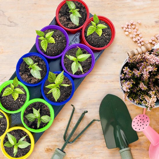 Набор для рассады квадратный Rainbow 105х80 мм с пластиковыми горшками Газон Сити