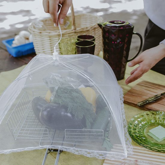 Сетка для защиты продуктов от насекомых Boyscout 41х41 см