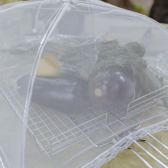 Сетка для защиты продуктов от насекомых Boyscout 41х41 см