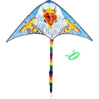 Воздушный змей BOYSCOUT 61483