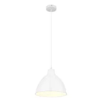 Светильник подвесной Arte Lamp Braccio E27 60 Вт 2 кв.м белый IP20 (A2055SP-1WH)