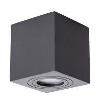 Светильник потолочный Arte Lamp Galopin GU10 35 Вт 1 кв.м черный IP44 (A1461PL-1BK)