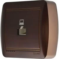 Компьютерная розетка Lezard DEMET