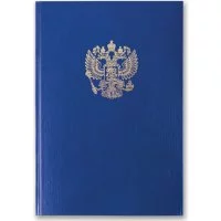 Книга учета BRAUBERG 130141
