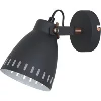 Настенный светильник Camelion WML-428-1 С02 New York