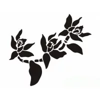 Виниловый трафарет STMDECOR Орхидея