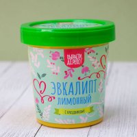 Подарочный набор для выращивания растений Вырасти,Дерево! Эвкалипт лимонный