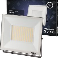 Светодиодный прожектор RITTER PROFI