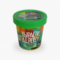 Набор для выращивания растений Вырасти,Дерево! Маракуйя северная