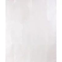Синтетический мешок-пылесборник для проф.пылесосов OZONE clean pro