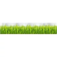 Панель для кухонного фартука ФАРТУКОФФ ФФ-292