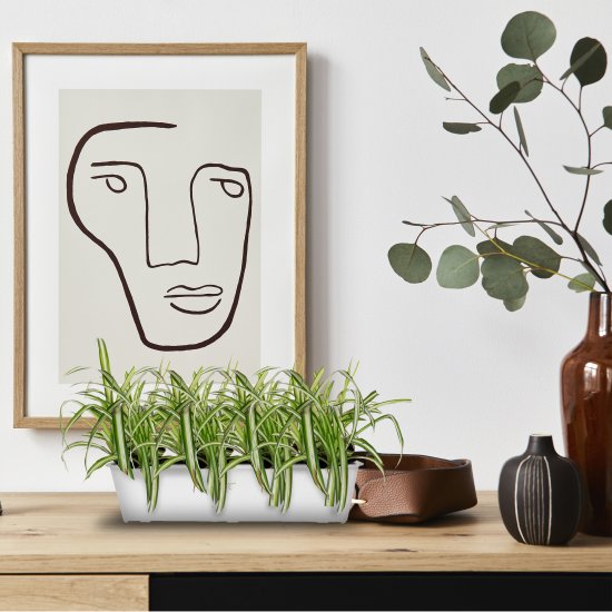 Ящик балконный Idi Land 60x17x15 см v10.5 л пластик мраморный