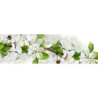 Панель для кухонного фартука ФАРТУКОФФ ФФ-428