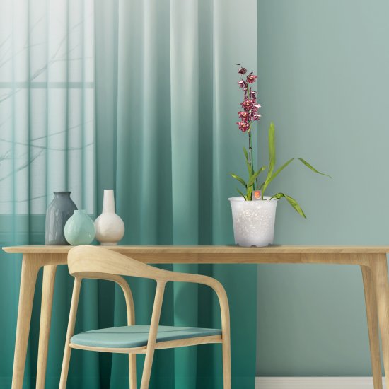 Орхидея Камбрия микс ø12 h65 см