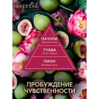 Декоративный ароматизатор Breesal Arome Sticks