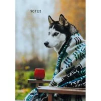 Книга для записей listoff КЗ51003499