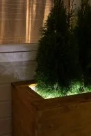 Комплект светодиодной ленты для уличной подсветки 220В 6Вт/м smd2835 60д/м IP65 600Лм/м ширина подложки 10мм 5м х/б 6500К