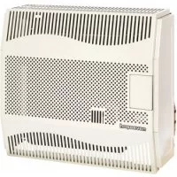 Настенный газовый конвектор Hosseven HDU-5 DK