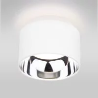 Накладной светильник Elektrostandard a036624