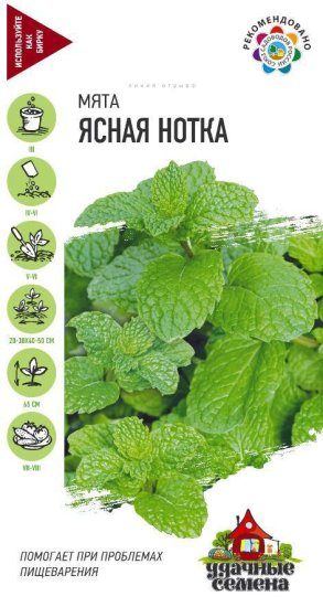 Семена Мята «Ясная нотка» DH, 0.05 г