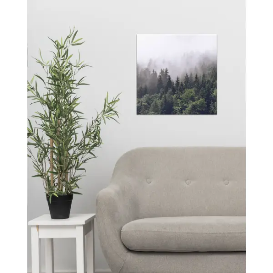 Картина на холсте «Туманный лес» 30x30 см