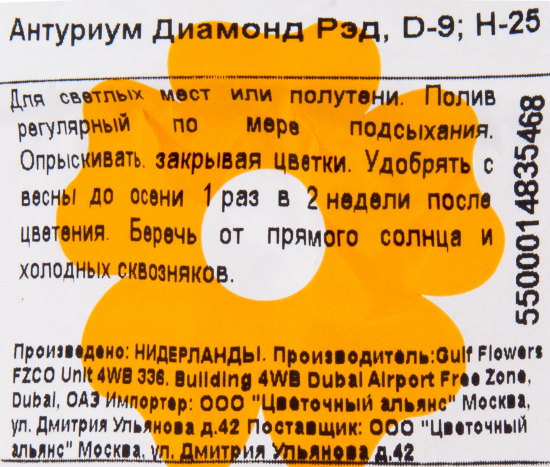 Антуриум Диамонд Рэд 9x25-32 см