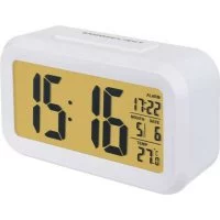 Часы-будильник Perfeo Snuz PF-S2166